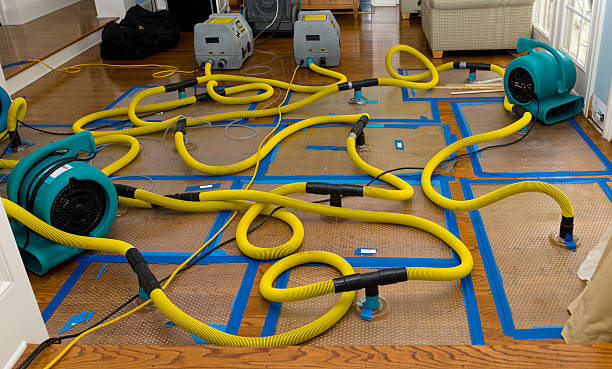 Professional Structural Drying And Dehumidification technician working in Cliffside Park, NJ